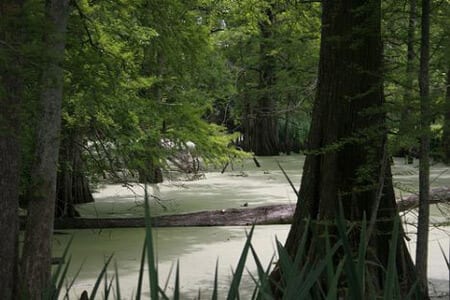 dunyanin en korkunc yerleri