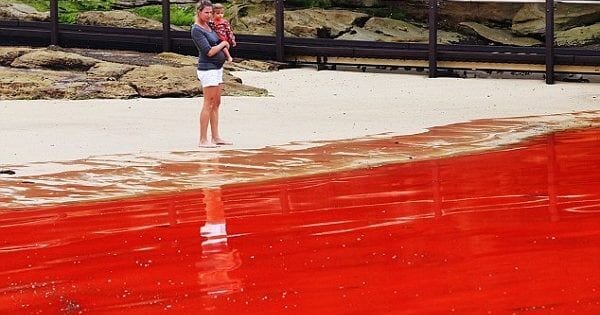 dunyada yasanan ilginc doga olaylari