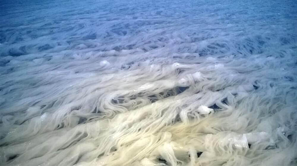 dunyada yasanan ilginc doga olaylari