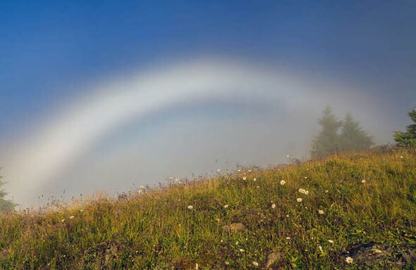 dunyada yasanan ilginc doga olaylari