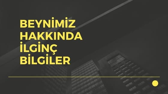 beyin hakkinda ilginc bilgiler