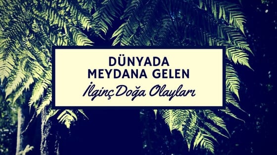 dunyada yasanan ilginc doga olaylari